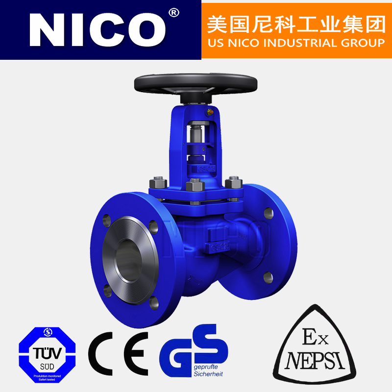 进口波纹管蒸汽截止阀
